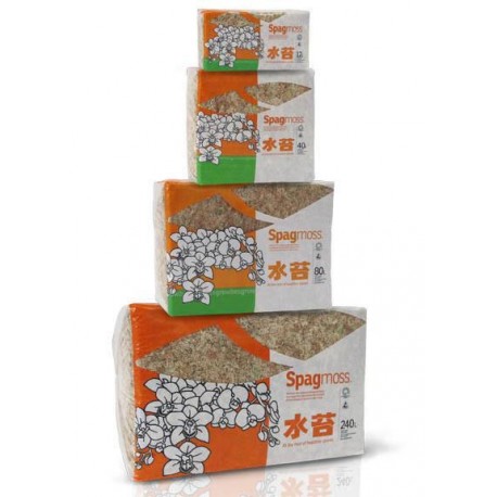 Besgrow Spagmoss, 100g