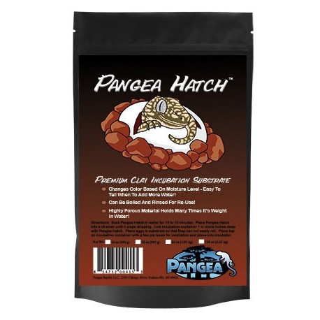 Pangea Pangea Hatch